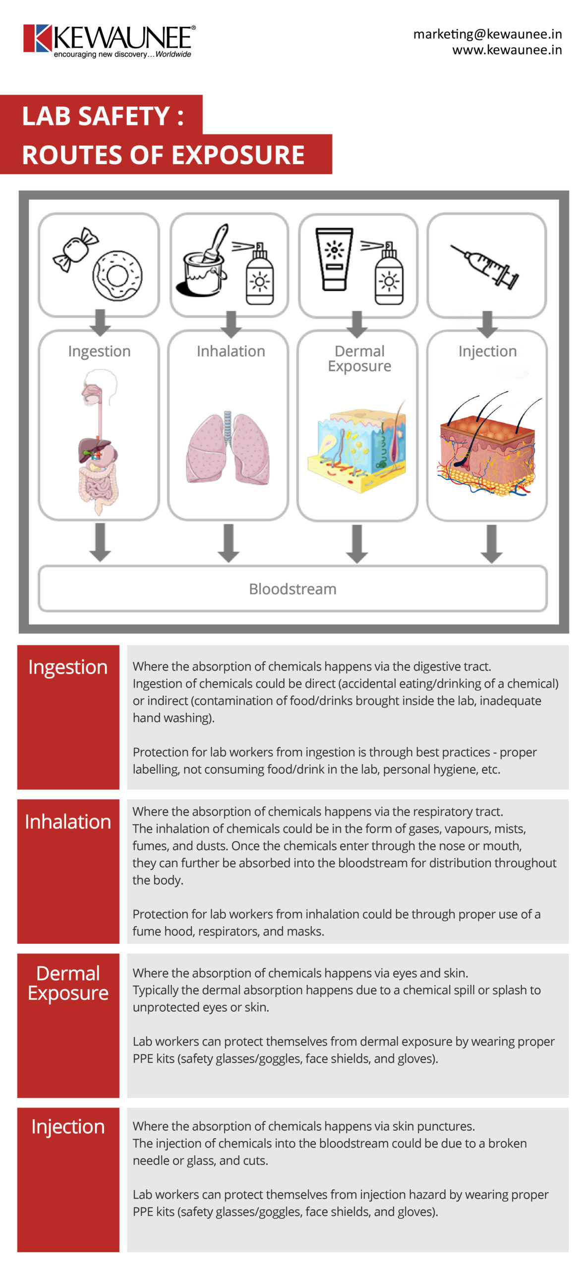 Routes Of Exposure In Lab Safety Kewaunee
