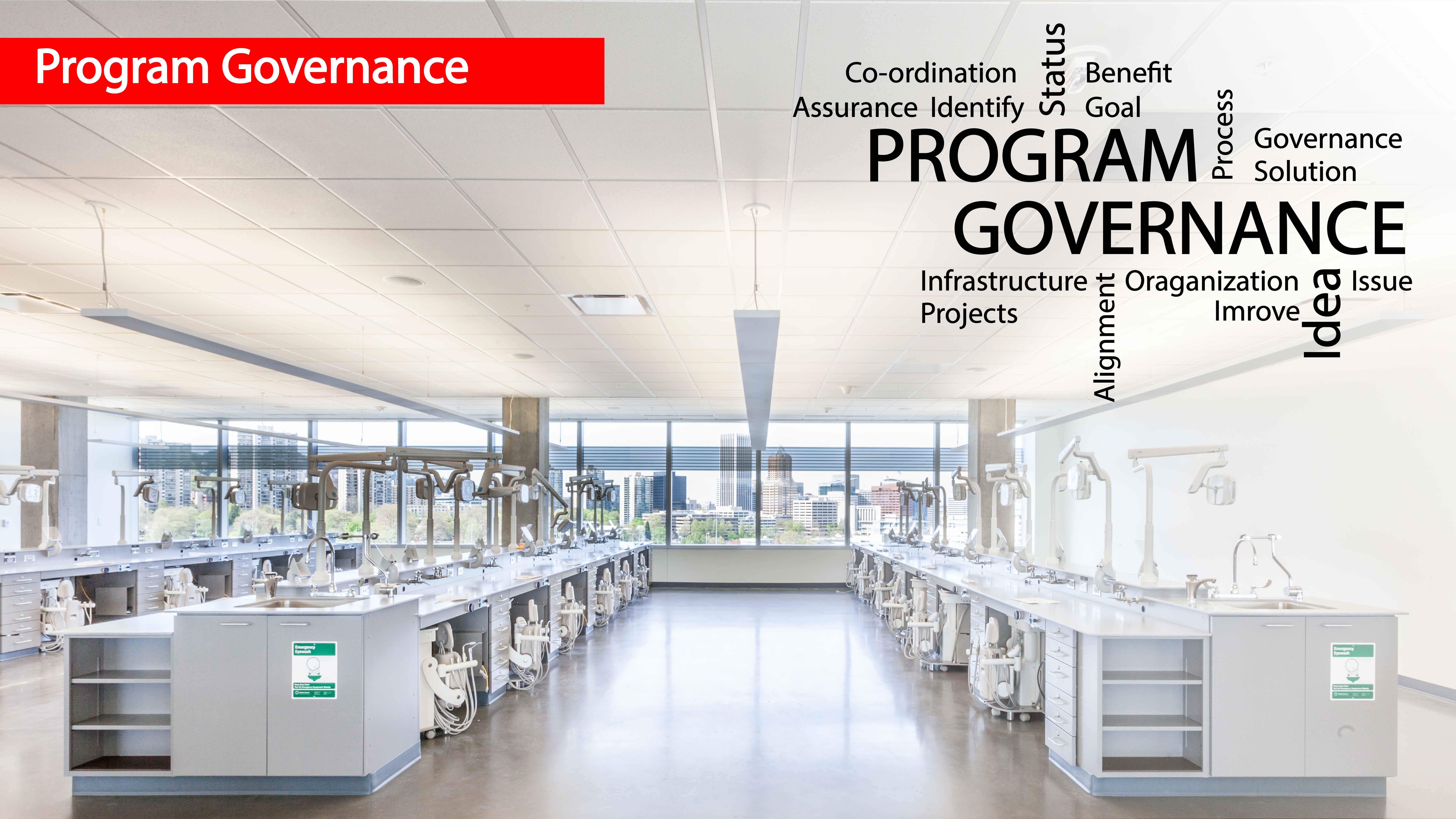 4-Program-governance 